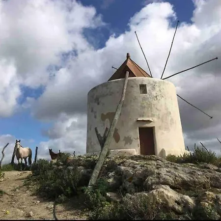 La Torre Eco-suite Apartment